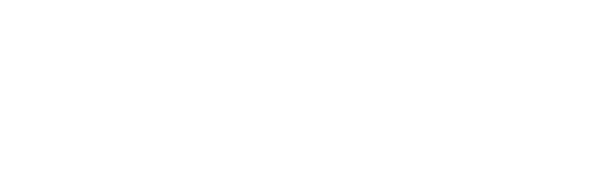 VinyPlus